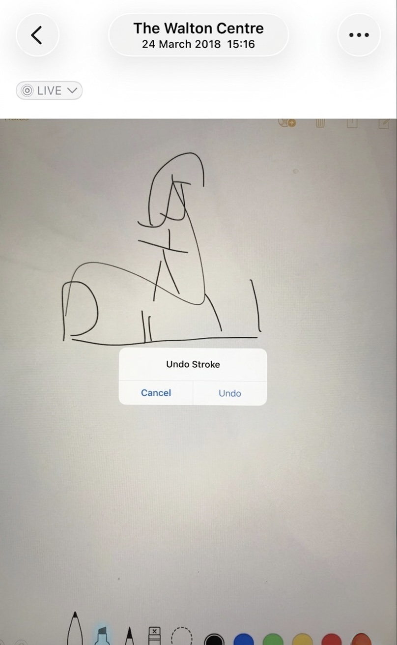 Caroline's drawing from hospital — iOS named it 'Undo Stroke'